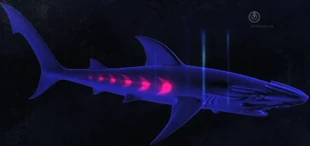 Screenshot 2019-05-17 at 12.22.06 PM.png (672 KB)