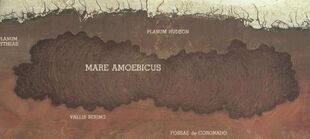 A map of the Amoebic Sea.