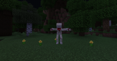 SCP-096 in MINECRAFT! 