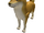 Attack Doge (ROBLOX)