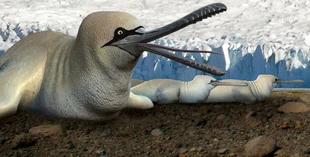 Gannetwhales (5 Million AD).