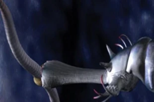 Gloomwoms lingering near the surface of the water are a tasty food source for the Slickribbon.