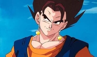 76598578