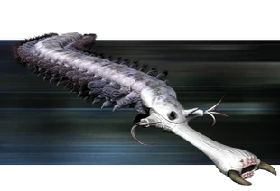 Slickribbon.png (68 KB) The Slickribbon (200 Million AD).