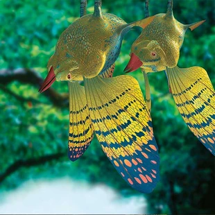 Forest flish hang upside-down beneath the branches, clinging on by pelvic fins modified to form hooked claws.