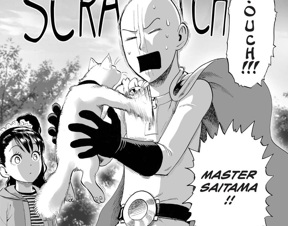 Saitama, Outlier Battles Wiki