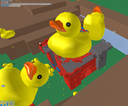 Epic Duck rain
