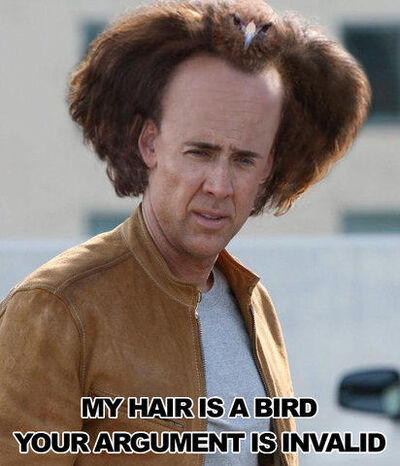 Argumentinvalidnickcage