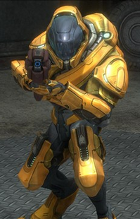 The most common BOB, a golden Elite Ranger.