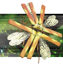 The Spitfire beetle (100 Million AD).