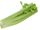 Celery (Real Life)