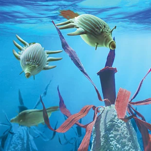 Young Reef gliders dart among the jagged peaks of an algae reef, feeding from the flower-like protuberances.