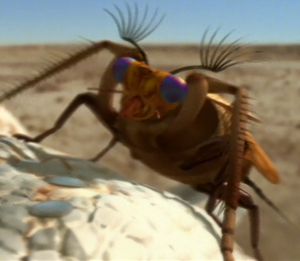 Bumblebeetle