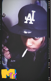 Swagcat