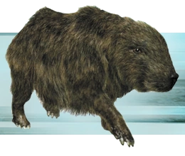 Shagrat (5 Million AD).