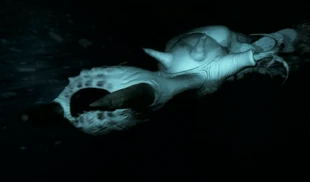 FIW 1x10 Slickribbon trunk.png (647 KB) The Slickribbon's mouth parts are mounted on an extendable trunk, which it can shoot out in a fraction of a second.