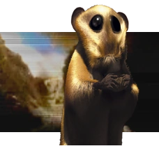 The Poggle.png (66 KB) The Poggle (100 Million AD).