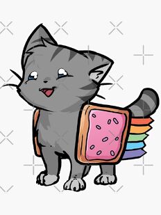 Nyan Cat from the front