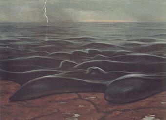 Amoebic-sea