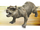 Gryken