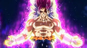 Final Ultra Vegito