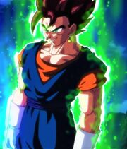 Completed Vegito