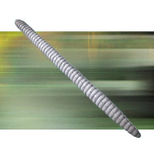 The Gloomworm (200 Million AD).