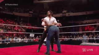 Seth Rollins Pedigree