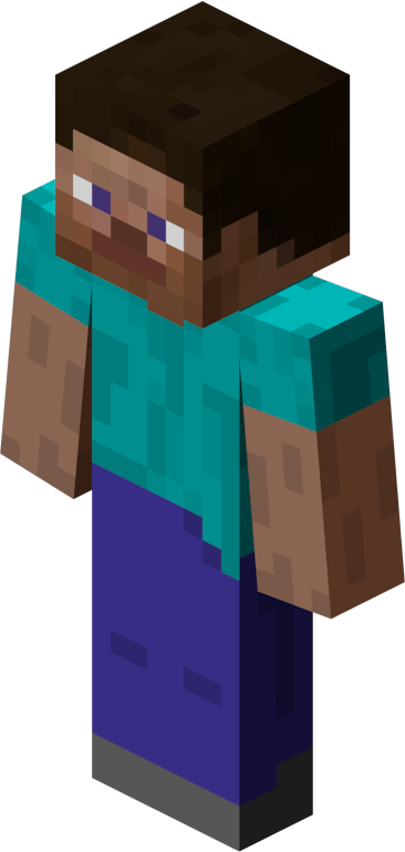 Dans la peau du personnage de Steve (Minecraft) – Level 1