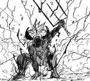 Shadow Vegito