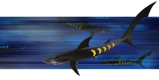 Sharkopath2.png (103 KB) The Sharkopath (200 Million AD).