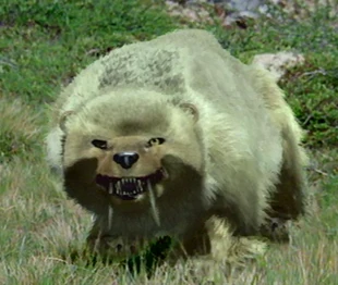 Snowstalker5M.png (608 KB) Snowstalker (5 Million AD).