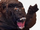 Ape-Political
