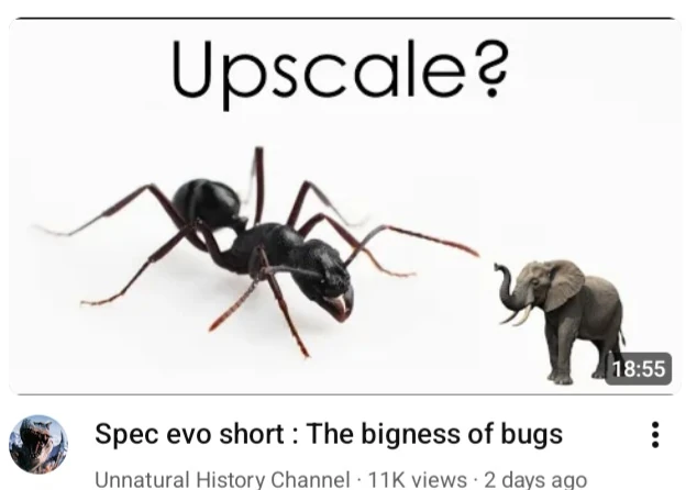 This ant | Joke Battles Wikia | Fandom