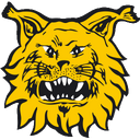 Logo ilves