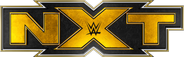 NXT Logo 2 4