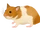 Hamster.png