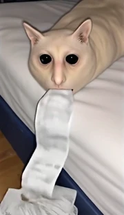 Receipts Receipts Receipts!