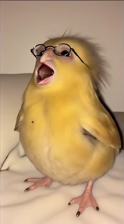 screaming Gogo