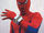 Spider-webs.jpg