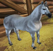 The Silver Buckskin Coat