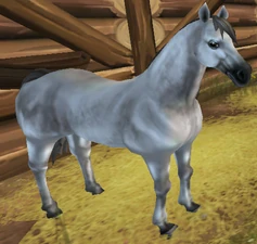Silver Buckskin