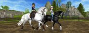 New model Arabian (right) and Friesian Sport Horse (left) advertising Star Rider offer