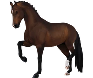 Gniada okopcona (generacja 3)