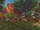 Goldenhills Valley