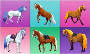 Starshine, Meteor i Tin-Can