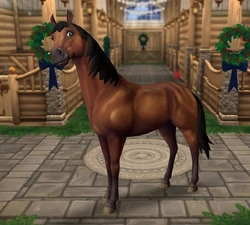 Jorvik gorącokrwisty w oknie tworzenia konia gracza podczas rejestracji