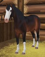 Skarogniada (generacja 3)