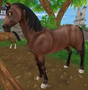 Ciemnogniada (generacja 1.5) (niedostępna)