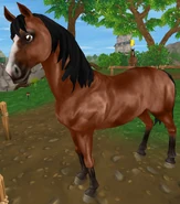 Gniada (generacja 1.5) (niedostępna)